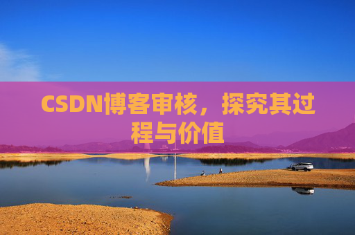 CSDN博客审核，探究其过程与价值
